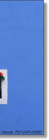 Blue Wall, Red Flowers